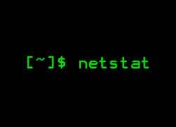 netstat: command not found CentOs 7